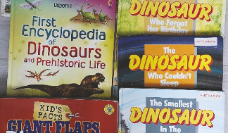 Includes 8 free books, x4 stone trays plus large and mini figurines, kaleidoscopes x4,  new flouro dinosaur figurines, white board markers with erasable dinosaur colouring in.