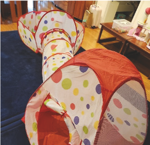 Ball Pit with Tunnel