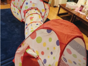 Ball Pit with Tunnel